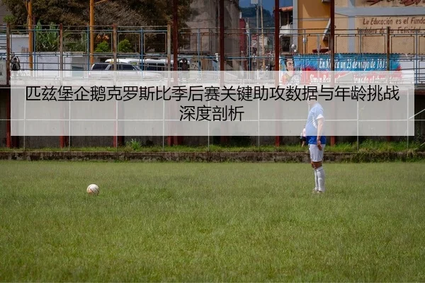 匹兹堡企鹅克罗斯比季后赛关键助攻数据与年龄挑战深度剖析